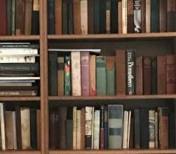 Erica reading — a voracious reader of historical fiction